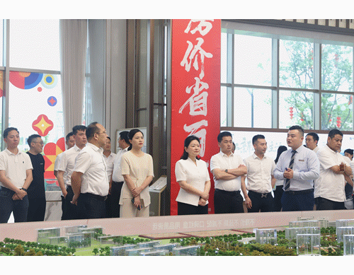 走找想促 | 公司黨委書記、董事長王文帶隊(duì)調(diào)研湘潭兩項(xiàng)目