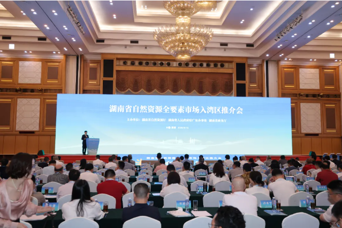 領(lǐng)創(chuàng)數(shù)智中心項目亮相湖南省自然資源全要素市場入灣區(qū)推介會